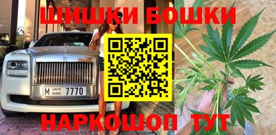 винт Новозыбков